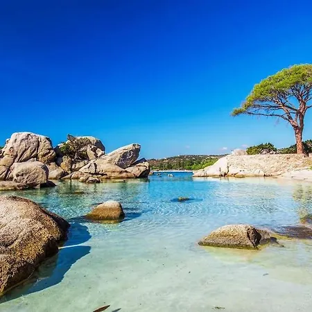 Appartement T2 Classe 5* Piscine Domaine D'arca Porto-vecchio Porto-Vecchio (Corsica)